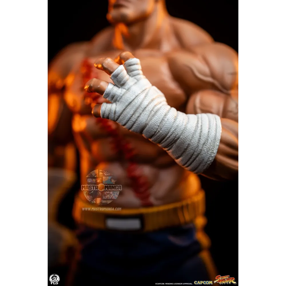 Sagat & Juli Street Fighter Street Jam Set