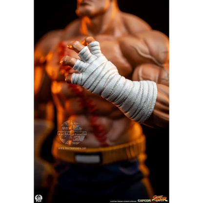 Sagat & Juli Street Fighter Street Jam Set