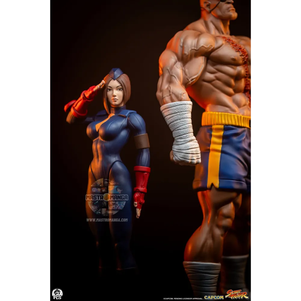 Sagat & Juli Street Fighter Street Jam Set