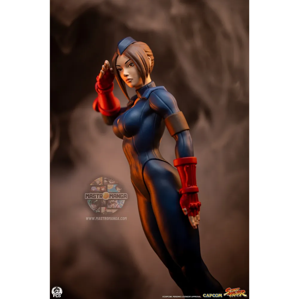 Sagat & Juli Street Fighter Street Jam Set