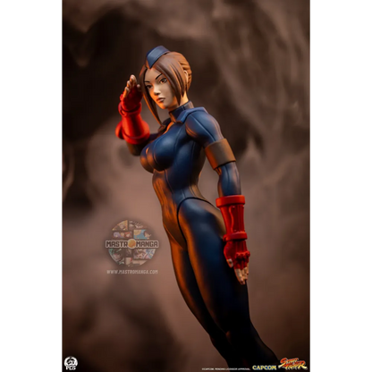 Sagat & Juli Street Fighter Street Jam Set