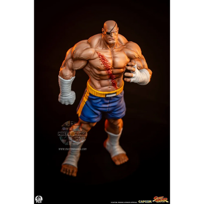 Sagat & Juli Street Fighter Street Jam Set