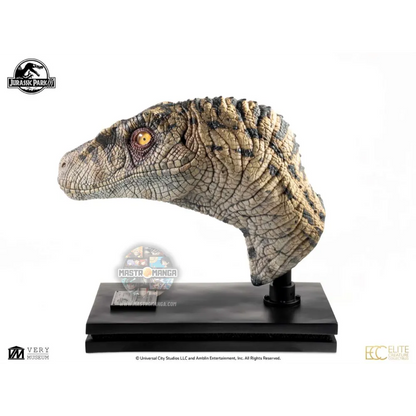 Female Velociraptor White Queen Jurassic Park 3 Bust