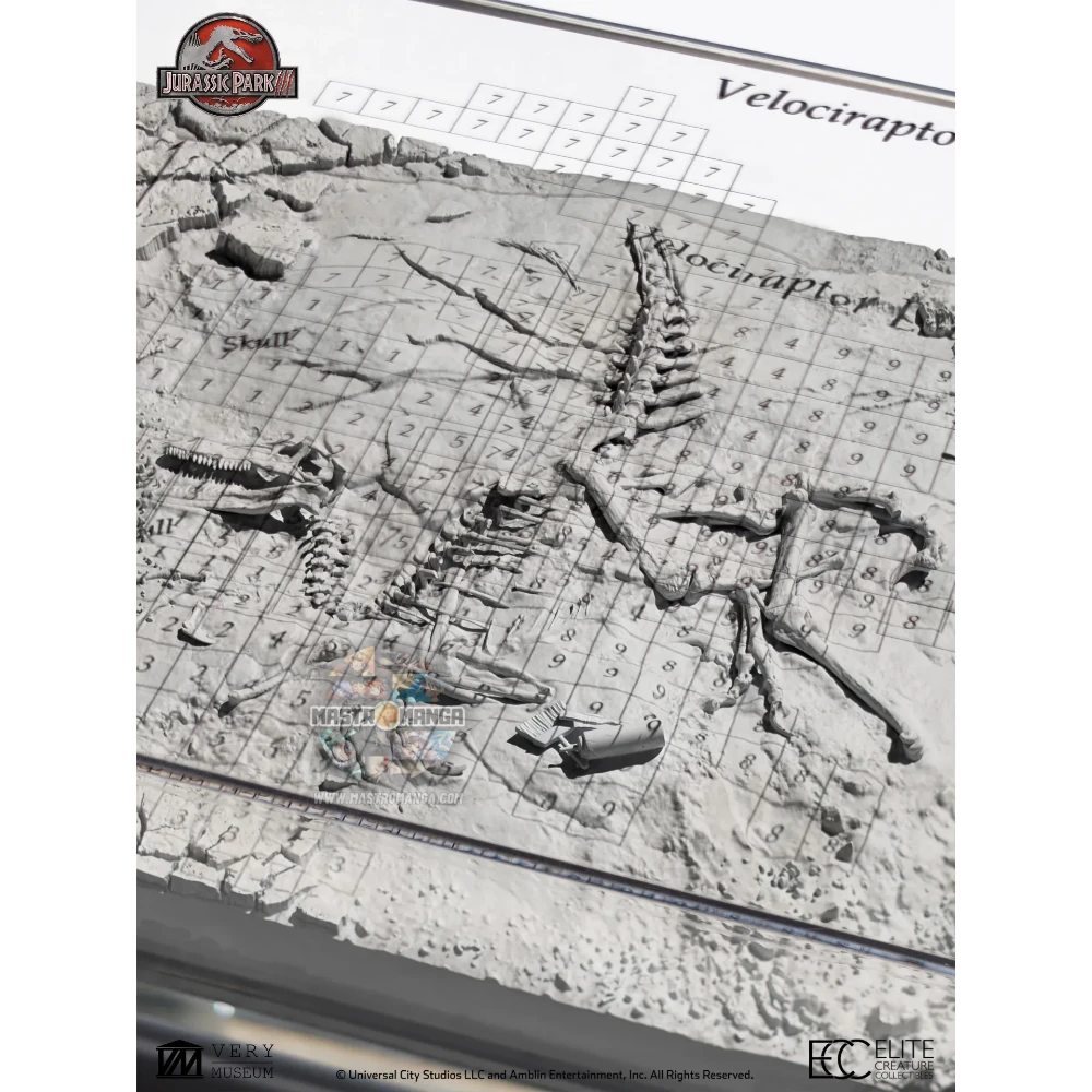 Velociraptor Excavation Map Jurassic Park 3 Elite Creature Collectibles - Statua da collezione ufficiale del temibile predatore con mappa di escavazione