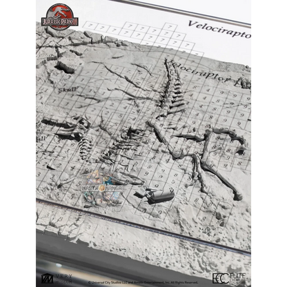 Velociraptor Excavation Map Jurassic Park 3 Elite Creature Collectibles - Statua da collezione ufficiale del temibile predatore con mappa di escavazione