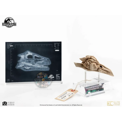 Velociraptor Resonating Chamber Jurassic Park 3 Prop Replica