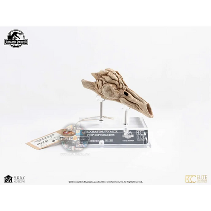 Velociraptor Resonating Chamber Jurassic Park 3 Prop Replica