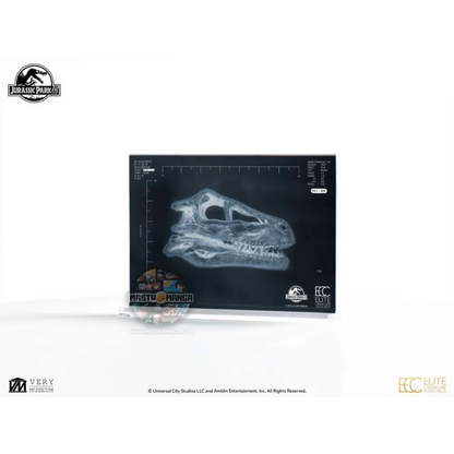 Velociraptor Resonating Chamber Jurassic Park 3 Prop Replica