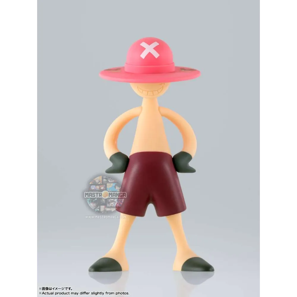 Luffy Archive Of Adventure Vol. 2 Display One Piece