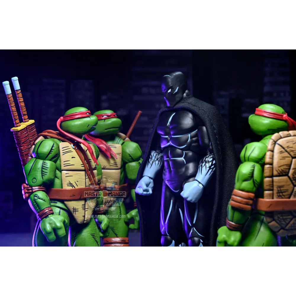 Nobody Teenage MutantNinja Turtles Mirage Comics