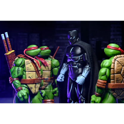 Nobody Teenage MutantNinja Turtles Mirage Comics