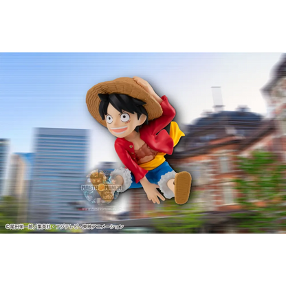 One Piece Display Tobimas