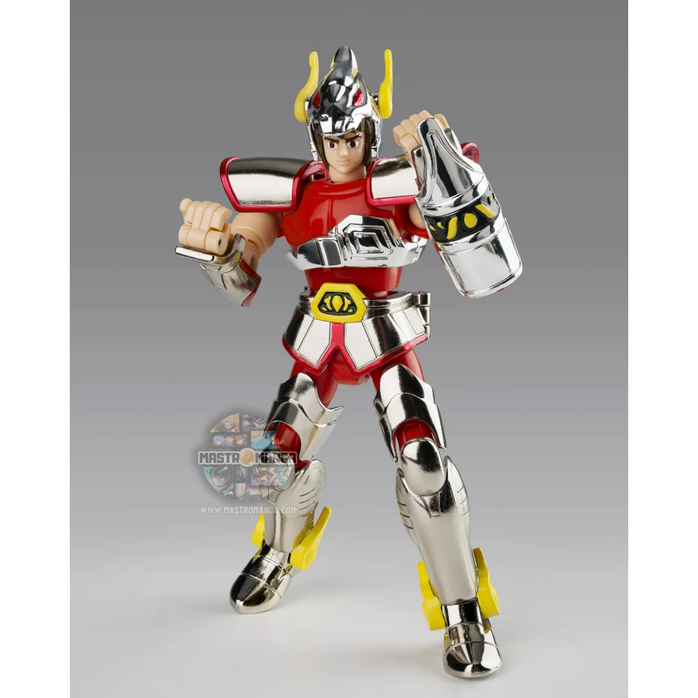 Seiya Pegasus Cloth 1st Bronze Cloth Box Saint Seiya Saint Cloth Series Limited Edition