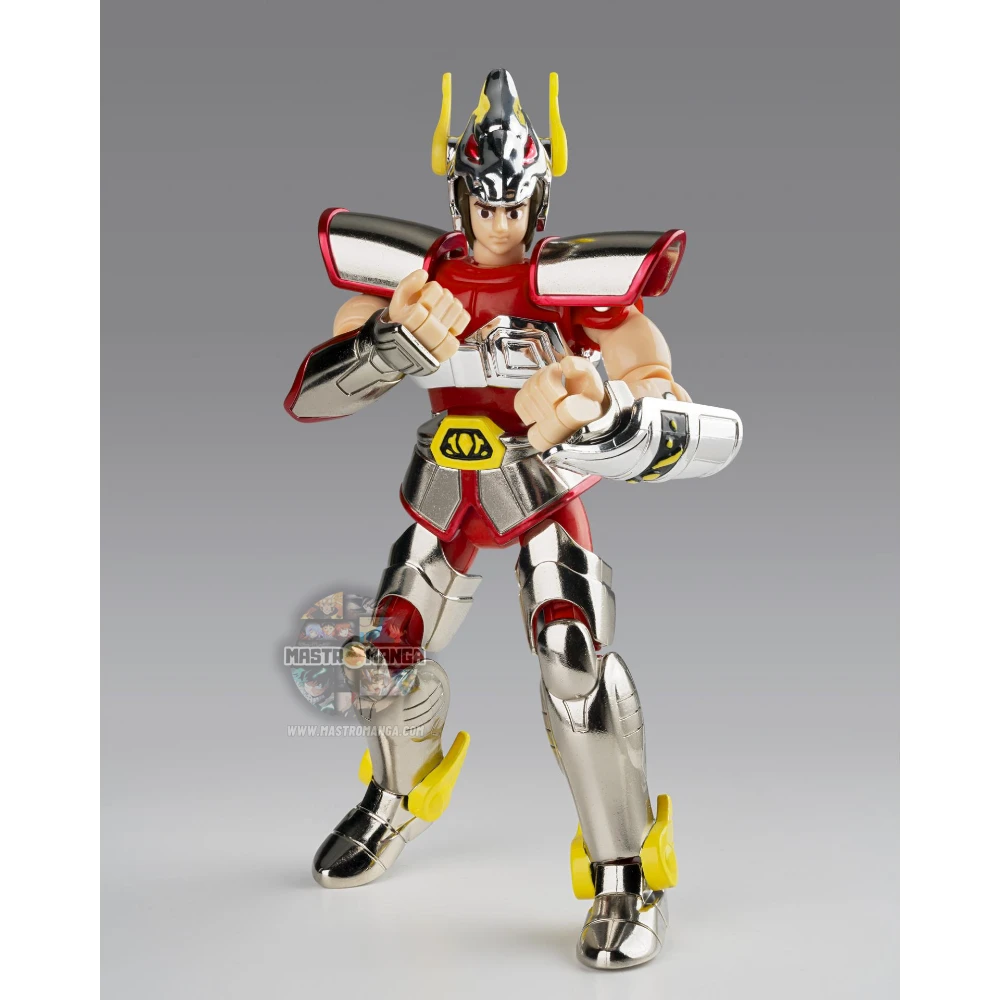 Seiya Pegasus Cloth 1st Bronze Cloth Box Saint Seiya Saint Cloth Series Limited Edition