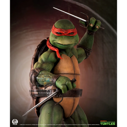 Raphael Teenage Mutant Ninja Turtles