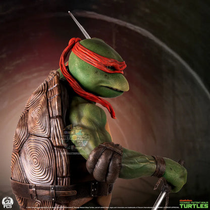Raphael Teenage Mutant Ninja Turtles