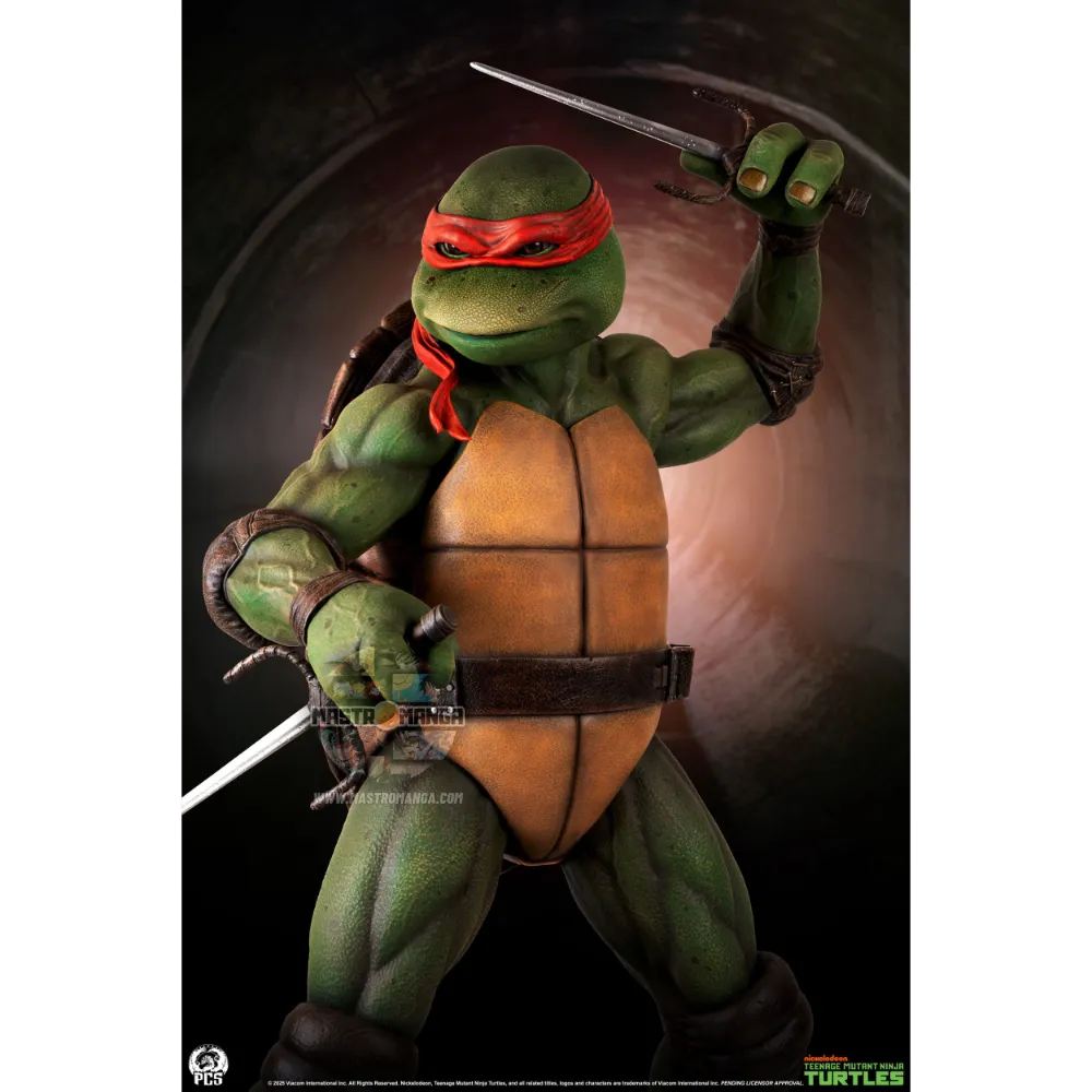 Raphael Teenage Mutant Ninja Turtles