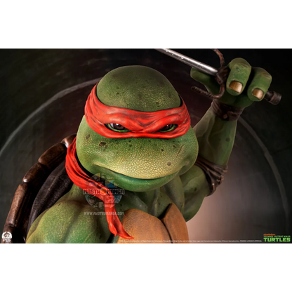 Raphael Teenage Mutant Ninja Turtles