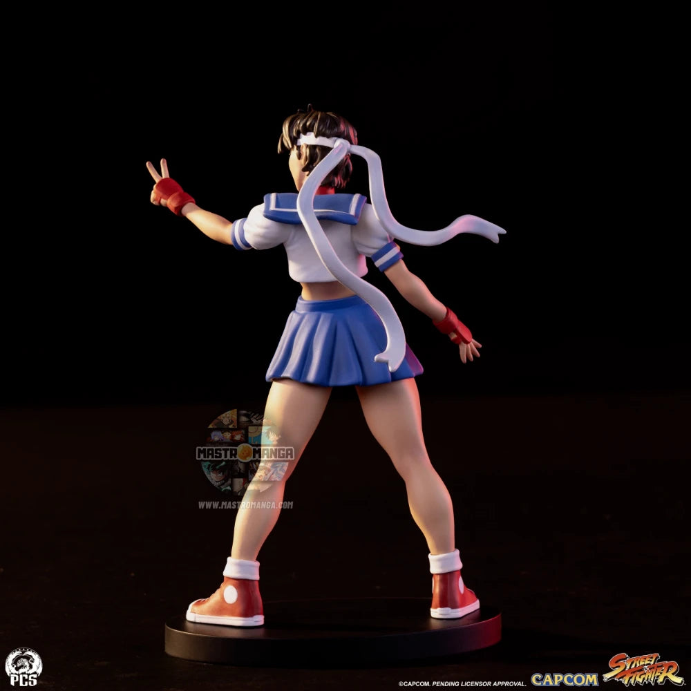 Sakura & Sodom Street Fighter Street Jam