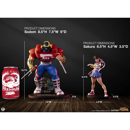 Sakura & Sodom Street Fighter Street Jam