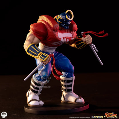Sakura & Sodom Street Fighter Street Jam