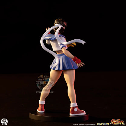 Sakura & Sodom Street Fighter Street Jam