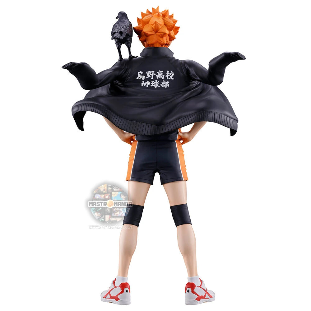 Shoyo Hinata Haikyu!!The Future of Karasuno Ichibansho
