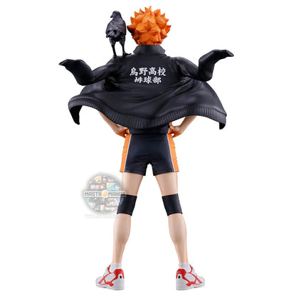 Shoyo Hinata Haikyu!!The Future of Karasuno Ichibansho