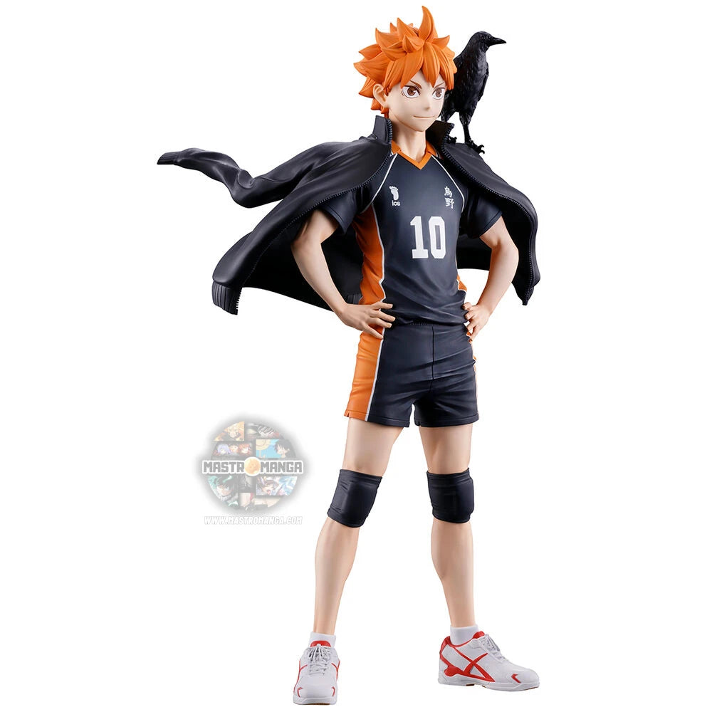 Shoyo Hinata Haikyu!!The Future of Karasuno Ichibansho