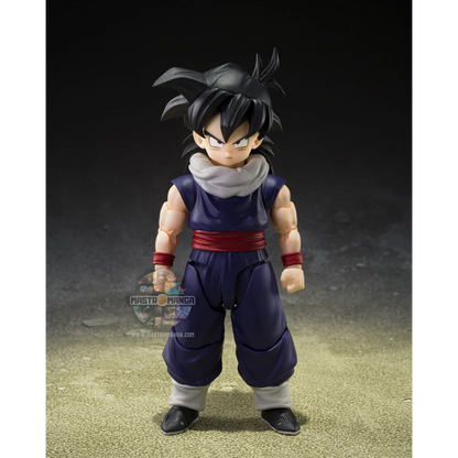 Son Gohan Limited Ed. Group Base A Dragon Ball Z S.H.Figuarts