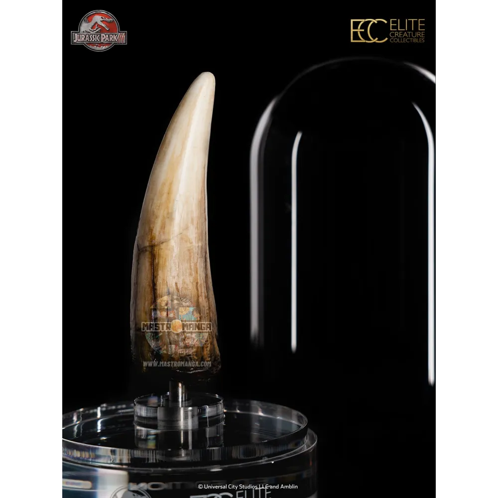 Spinosaurus Tooth Jurassic Park III Prop Reproduction