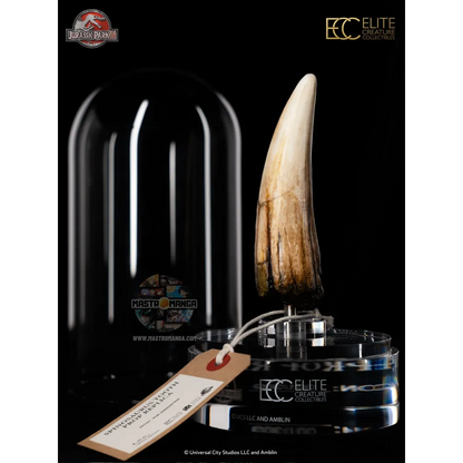 Spinosaurus Tooth Jurassic Park III Prop Reproduction