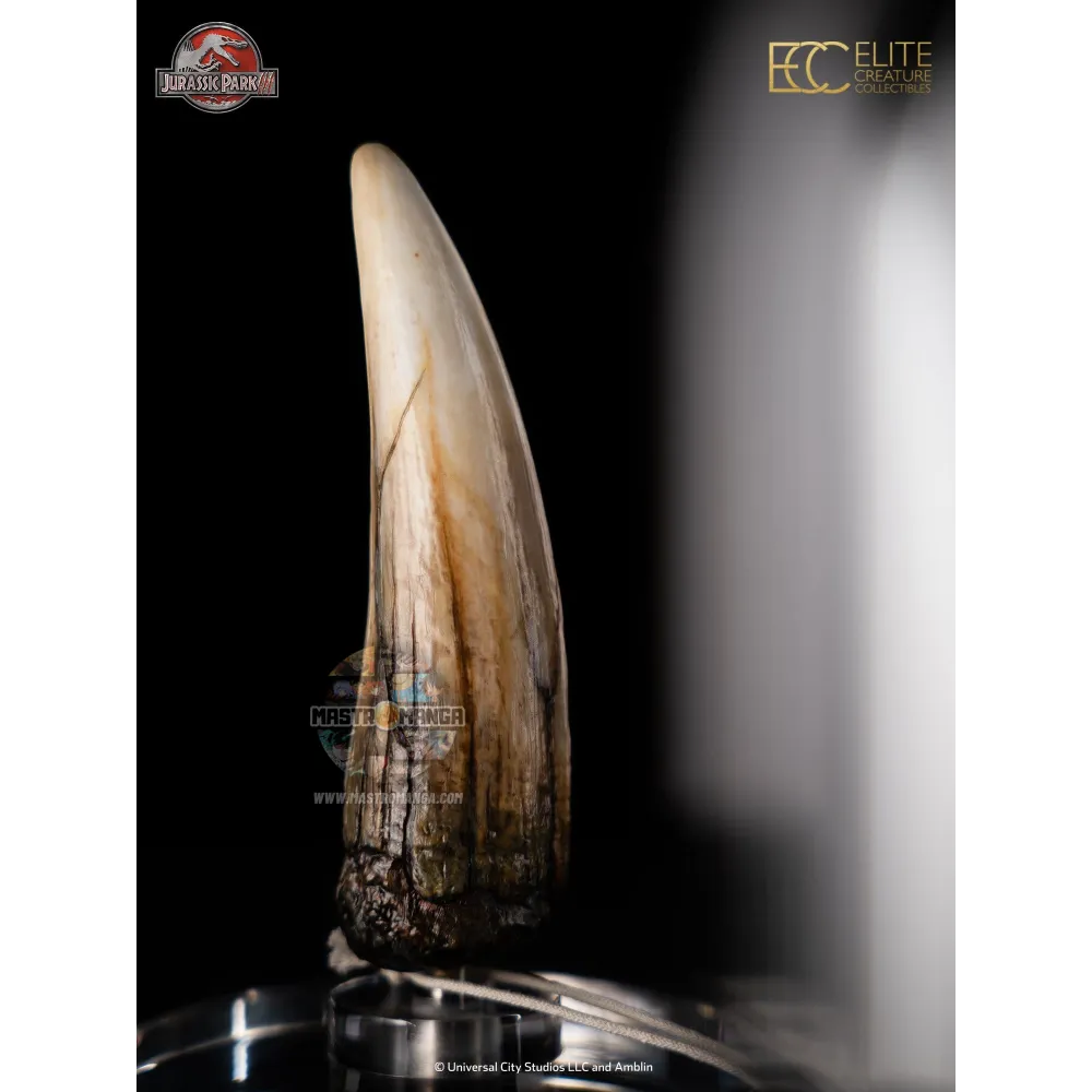Spinosaurus Tooth Jurassic Park III Prop Reproduction