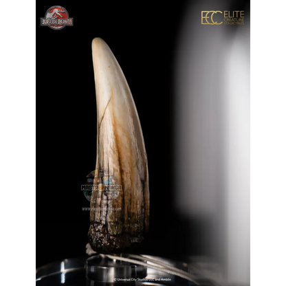 Spinosaurus Tooth Jurassic Park III Prop Reproduction