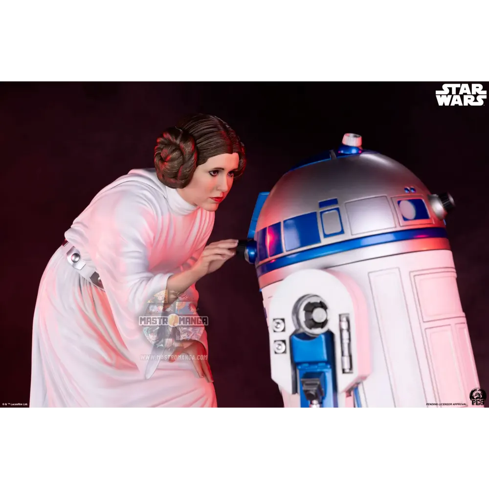 Princess Leia Star Wars