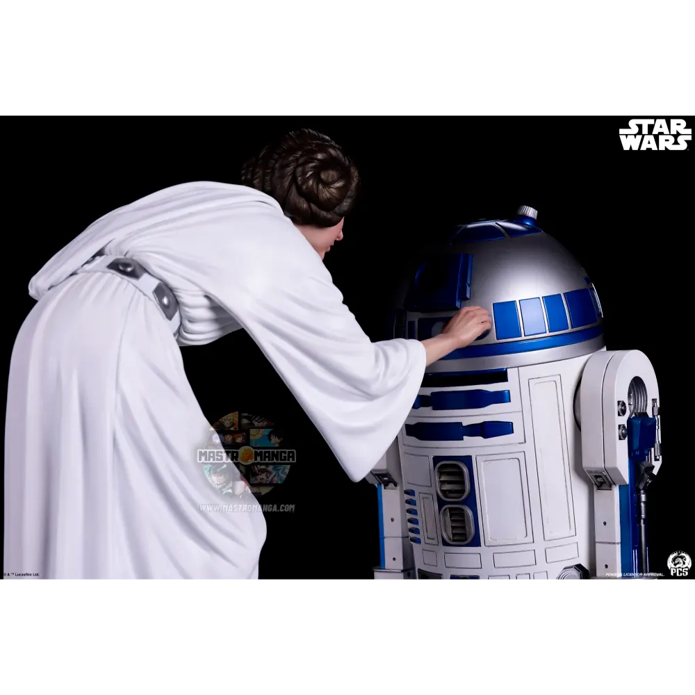 Princess Leia Star Wars