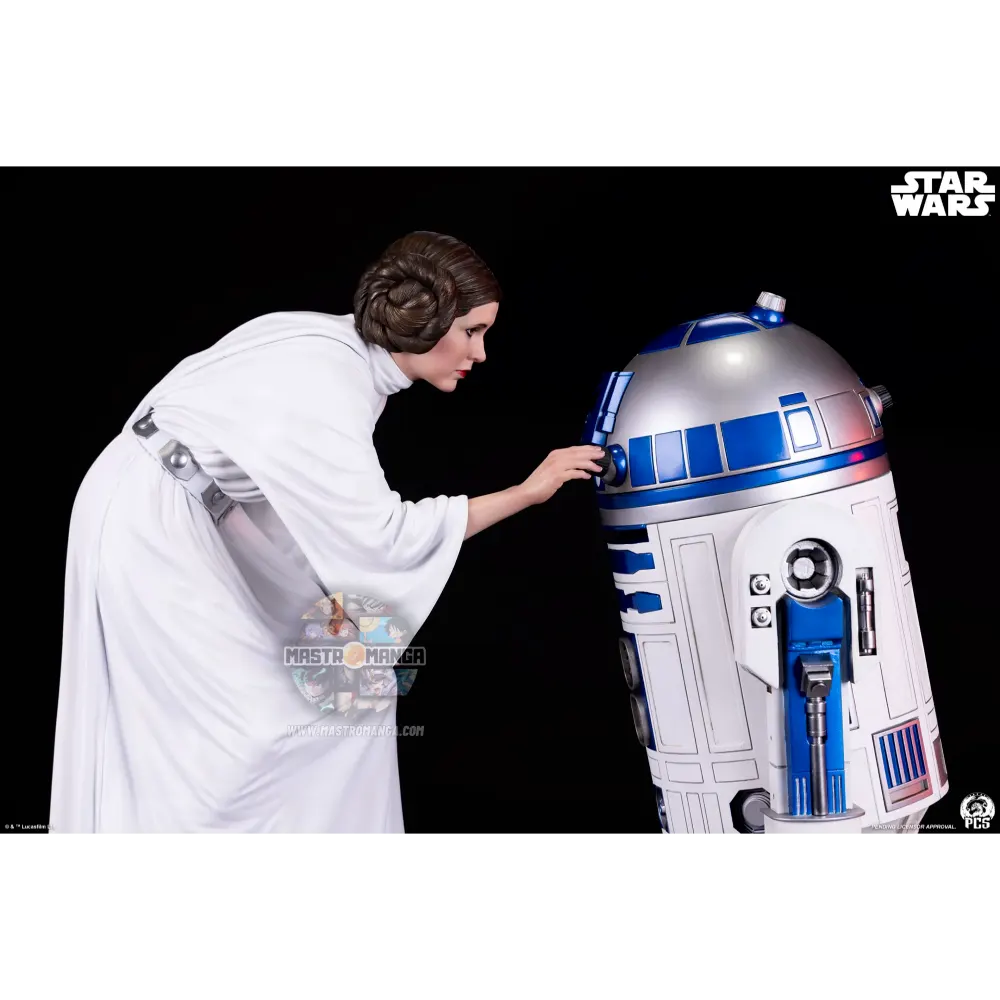 Princess Leia Star Wars