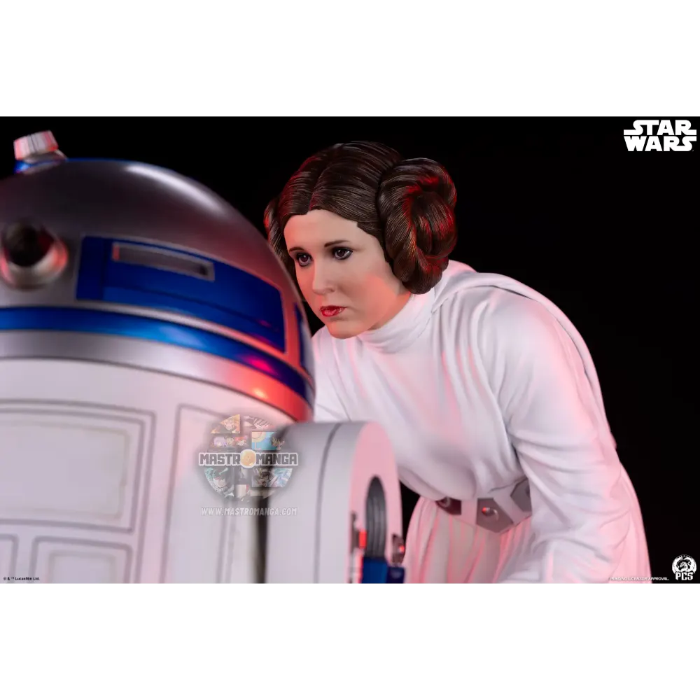 Princess Leia Star Wars