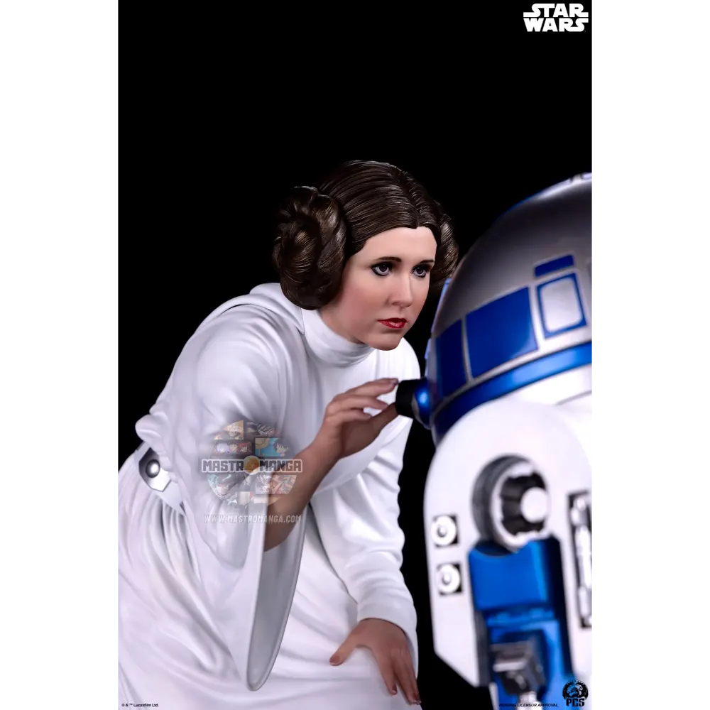 Princess Leia Star Wars