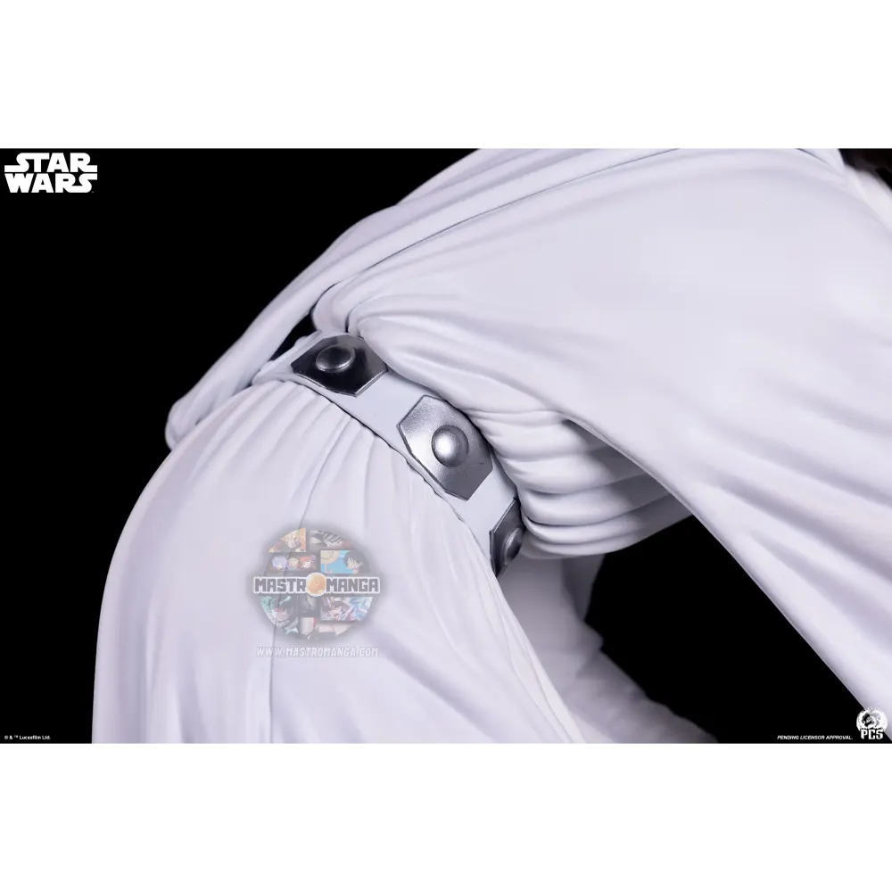 Princess Leia Star Wars