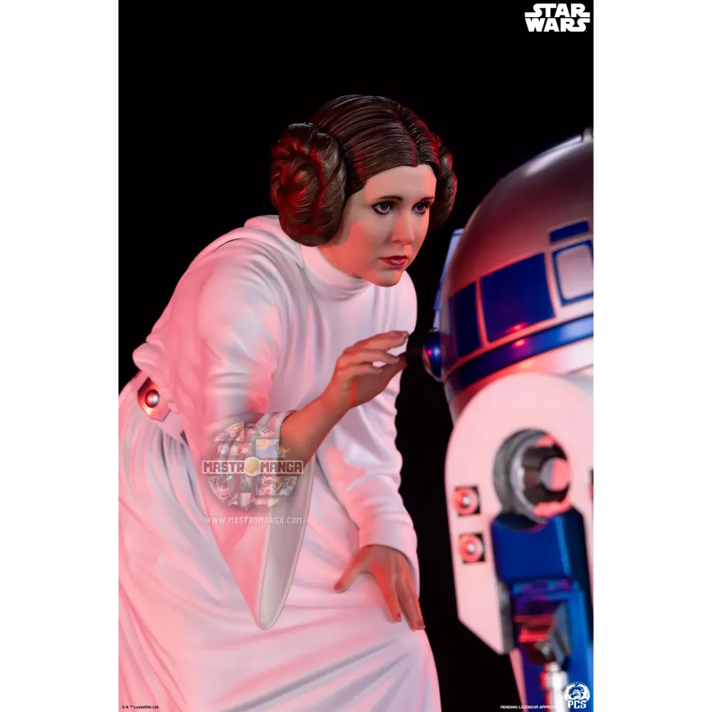 Princess Leia Star Wars
