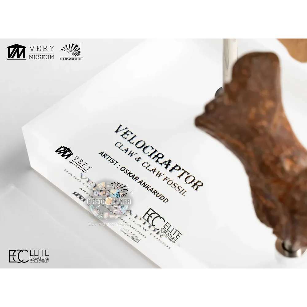 Velociraptor Foot Claw And Fossil Claw Set Jurassic Park