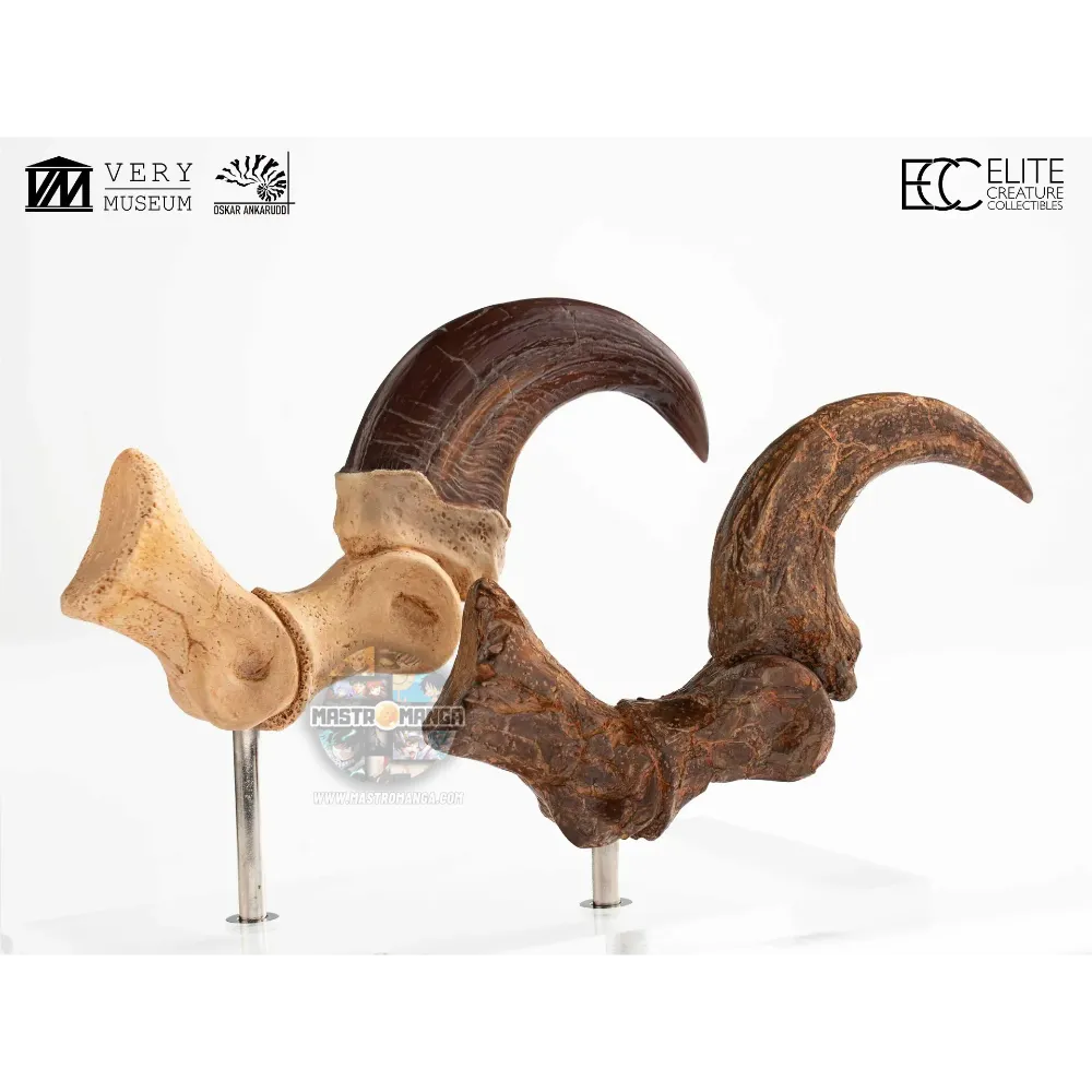 Velociraptor Foot Claw And Fossil Claw Set Jurassic Park