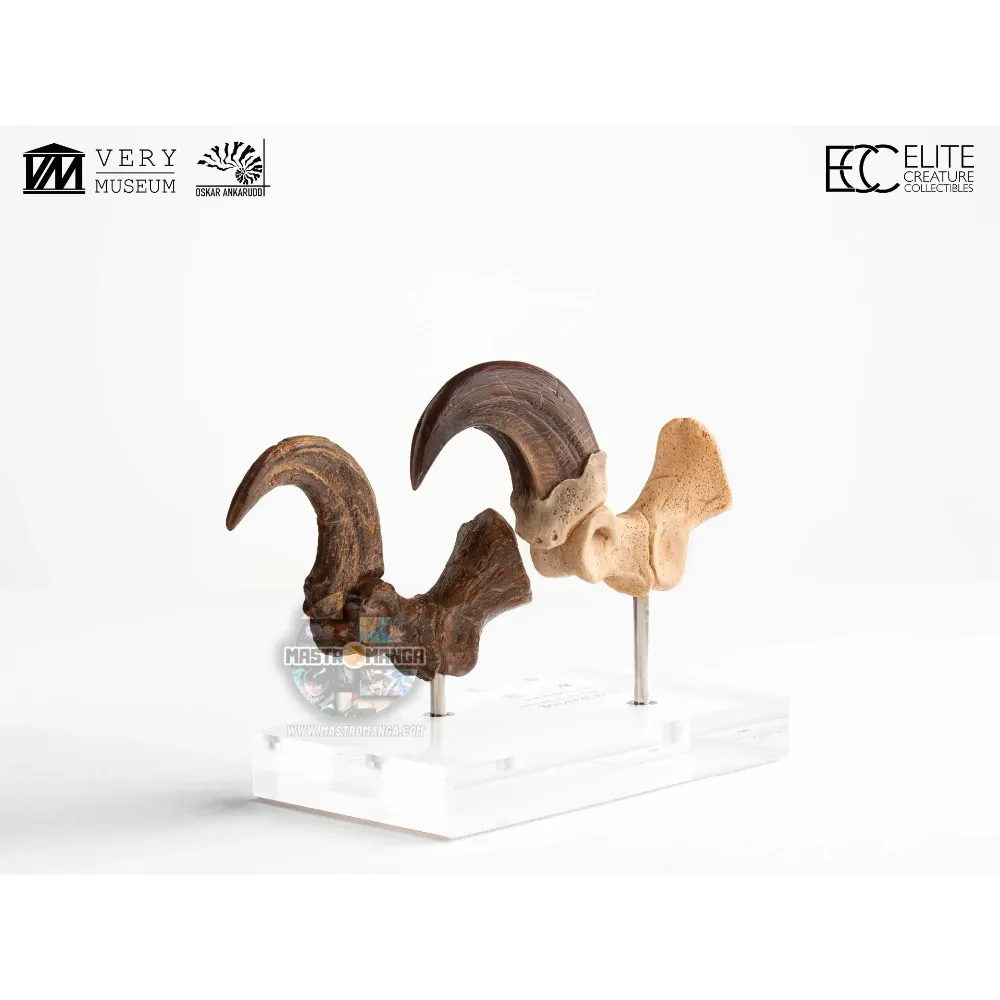 Velociraptor Foot Claw And Fossil Claw Set Jurassic Park