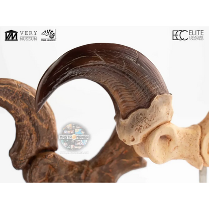 Velociraptor Foot Claw And Fossil Claw Set Jurassic Park