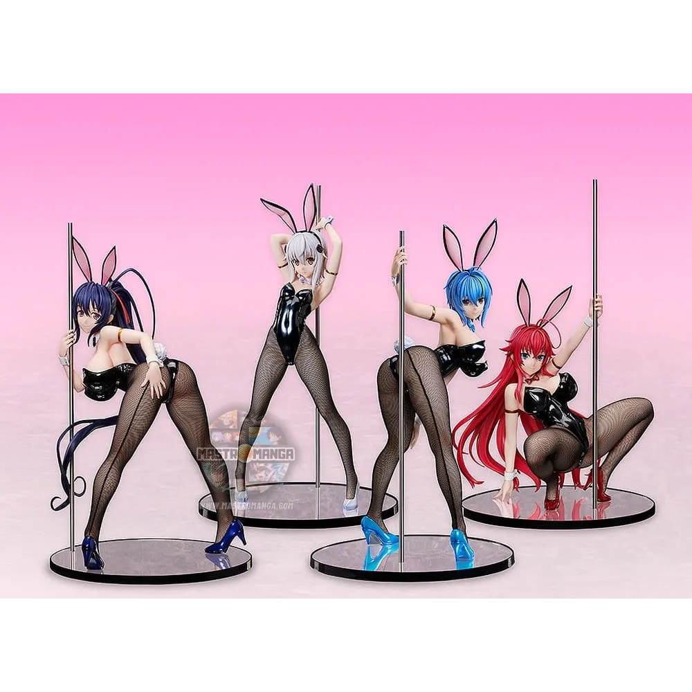 Xenovia Bunny Ver. High School DxD HERO