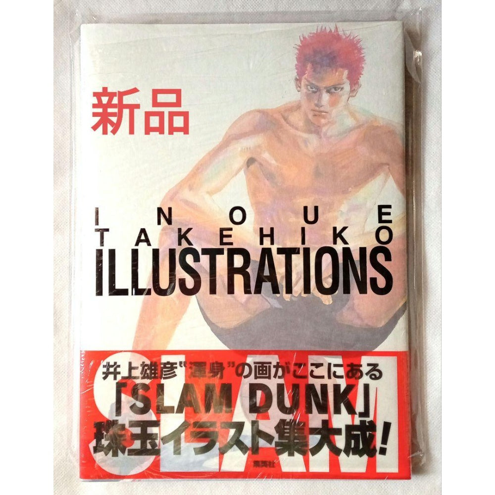 Takehiko Inue Slam Dunk Inoue Takehiko Illustrations Japan Version – MastroManga